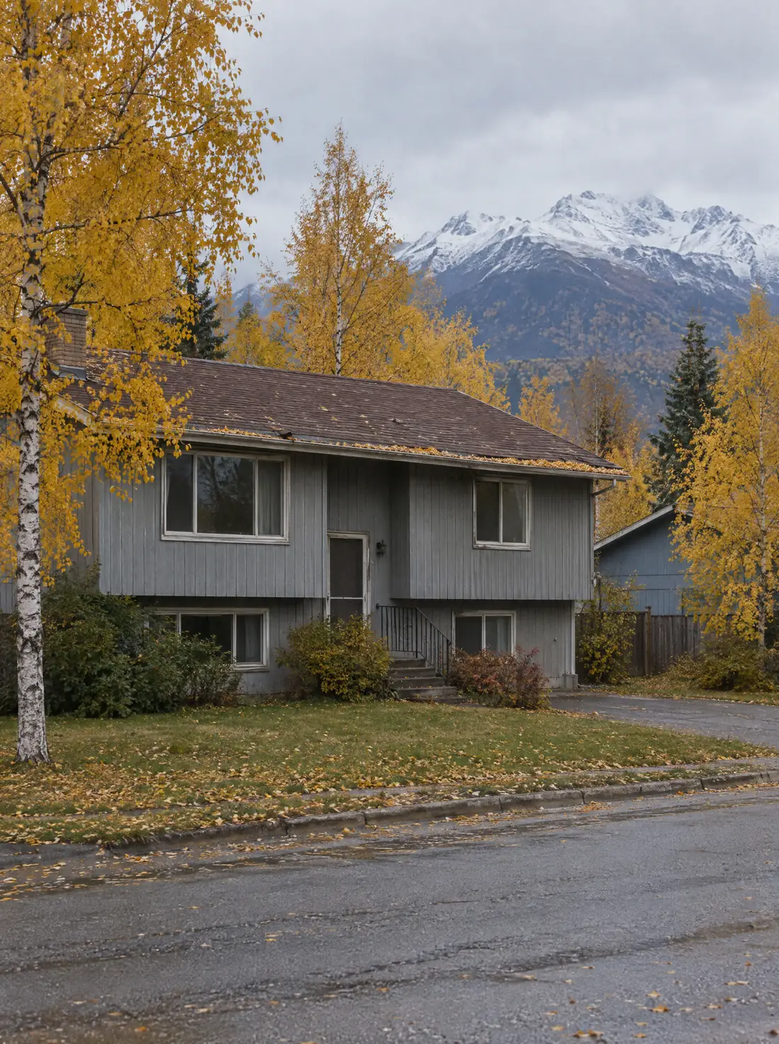 A split-level house in October with a worn shingle roof, yellow birch trees and the first snow on the mountains